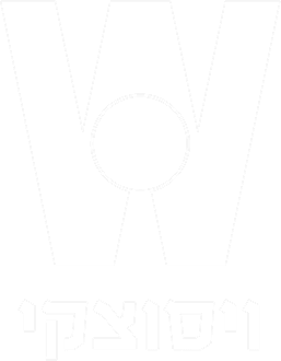 ויסוצקי